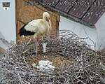 Capi_Dubne_20260606_191004.jpg