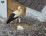 Capi_Dubne_20260606_191504.jpg