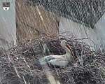 Capi_Dubne_20260606_200502.jpg