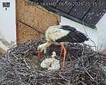 Capi_Dubne_20260606_203502.jpg