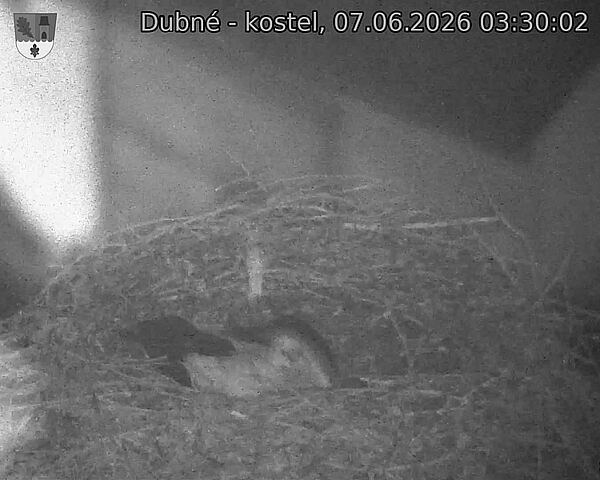 preload