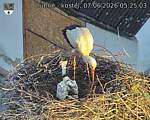 Capi_Dubne_20260607_052503.jpg