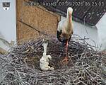 Capi_Dubne_20260607_062503.jpg