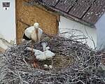 Capi_Dubne_20260607_113504.jpg