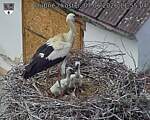 Capi_Dubne_20260607_115504.jpg