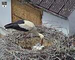 Capi_Dubne_20260607_131003.jpg