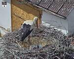 Capi_Dubne_20260607_133003.jpg