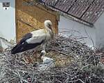 Capi_Dubne_20260607_135502.jpg