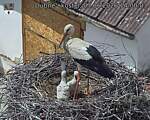 Capi_Dubne_20260607_140003.jpg