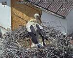 Capi_Dubne_20260607_140502.jpg