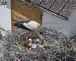 Capi_Dubne_20260607_142003.jpg