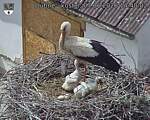 Capi_Dubne_20260607_144002.jpg