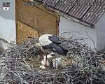 Capi_Dubne_20260607_144503.jpg