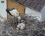 Capi_Dubne_20260607_151003.jpg