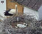 Capi_Dubne_20260607_151503.jpg