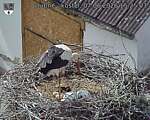 Capi_Dubne_20260607_152503.jpg