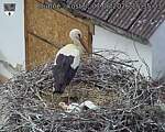 Capi_Dubne_20260607_153503.jpg