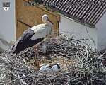 Capi_Dubne_20260607_162502.jpg