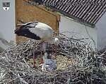 Capi_Dubne_20260607_163003.jpg