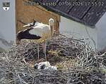 Capi_Dubne_20260607_175502.jpg
