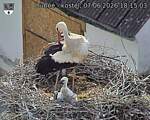 Capi_Dubne_20260607_181503.jpg