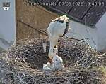 Capi_Dubne_20260607_194003.jpg