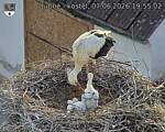 Capi_Dubne_20260607_195502.jpg