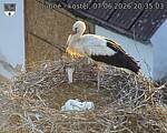 Capi_Dubne_20260607_203503.jpg