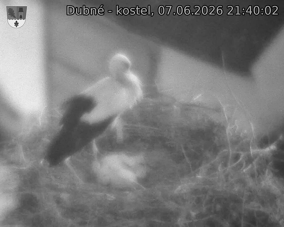 preload