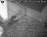 Capi_Dubne_20260607_220503.jpg