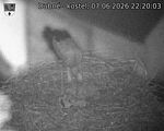 Capi_Dubne_20260607_222003.jpg