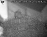 Capi_Dubne_20260607_223002.jpg