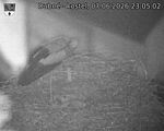 Capi_Dubne_20260607_230502.jpg