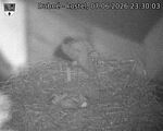 Capi_Dubne_20260607_233003.jpg