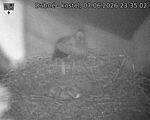 Capi_Dubne_20260607_233502.jpg