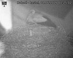 Capi_Dubne_20260608_012502.jpg