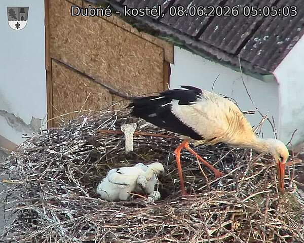 preload