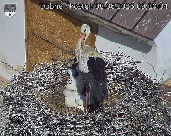 preload
