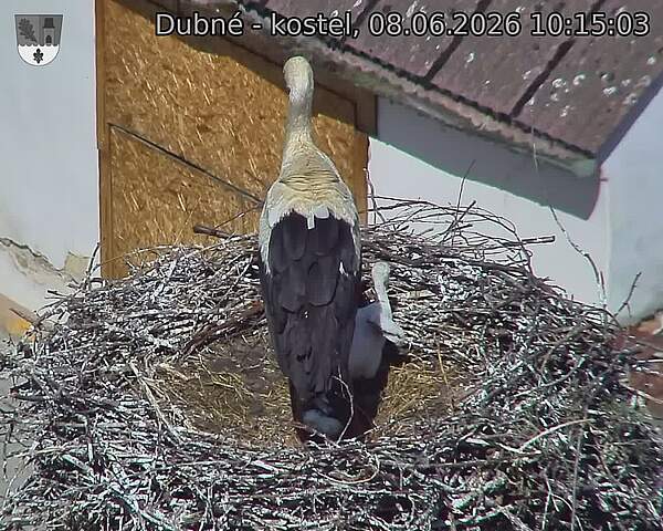 preload