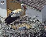 Capi_Dubne_20260608_145002.jpg