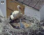 Capi_Dubne_20260608_153003.jpg