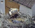Capi_Dubne_20260608_153502.jpg