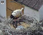 Capi_Dubne_20260608_163503.jpg