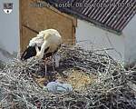 Capi_Dubne_20260608_170004.jpg