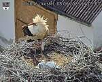 Capi_Dubne_20260608_170503.jpg