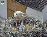 Capi_Dubne_20260608_172002.jpg