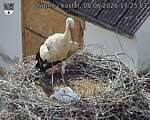 Capi_Dubne_20260608_172503.jpg