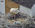 Capi_Dubne_20260608_173003.jpg