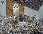 Capi_Dubne_20260608_173502.jpg