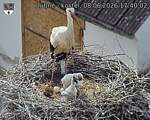 Capi_Dubne_20260608_174002.jpg